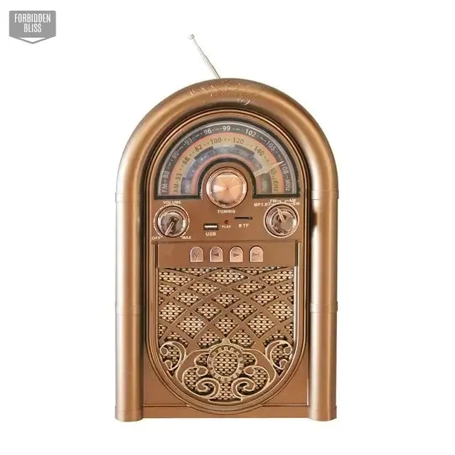 AM FM SW Radio