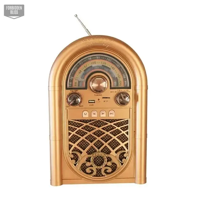 AM FM SW Radio