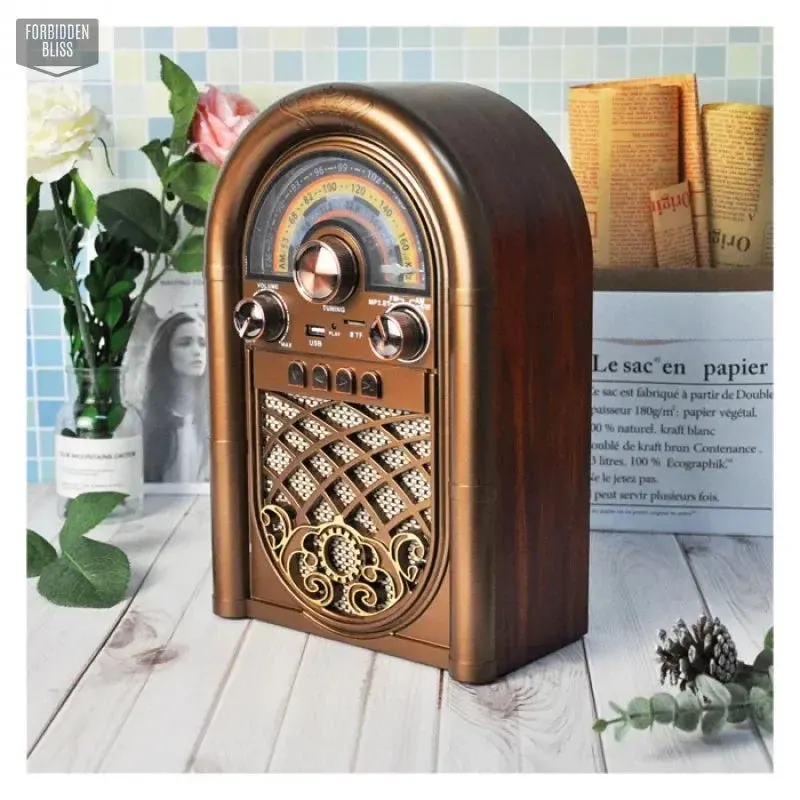 AM FM SW Radio