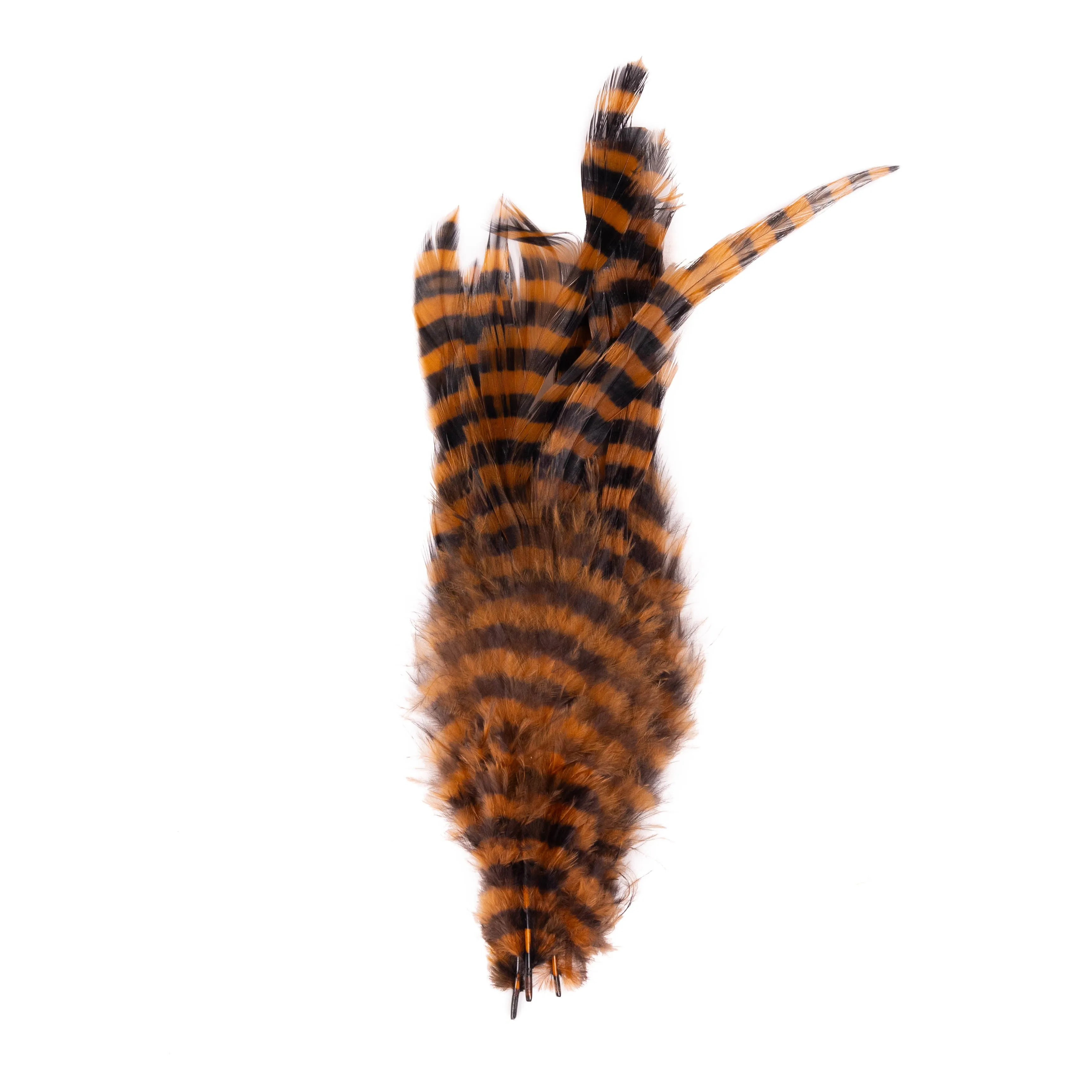 Barred Schlappen