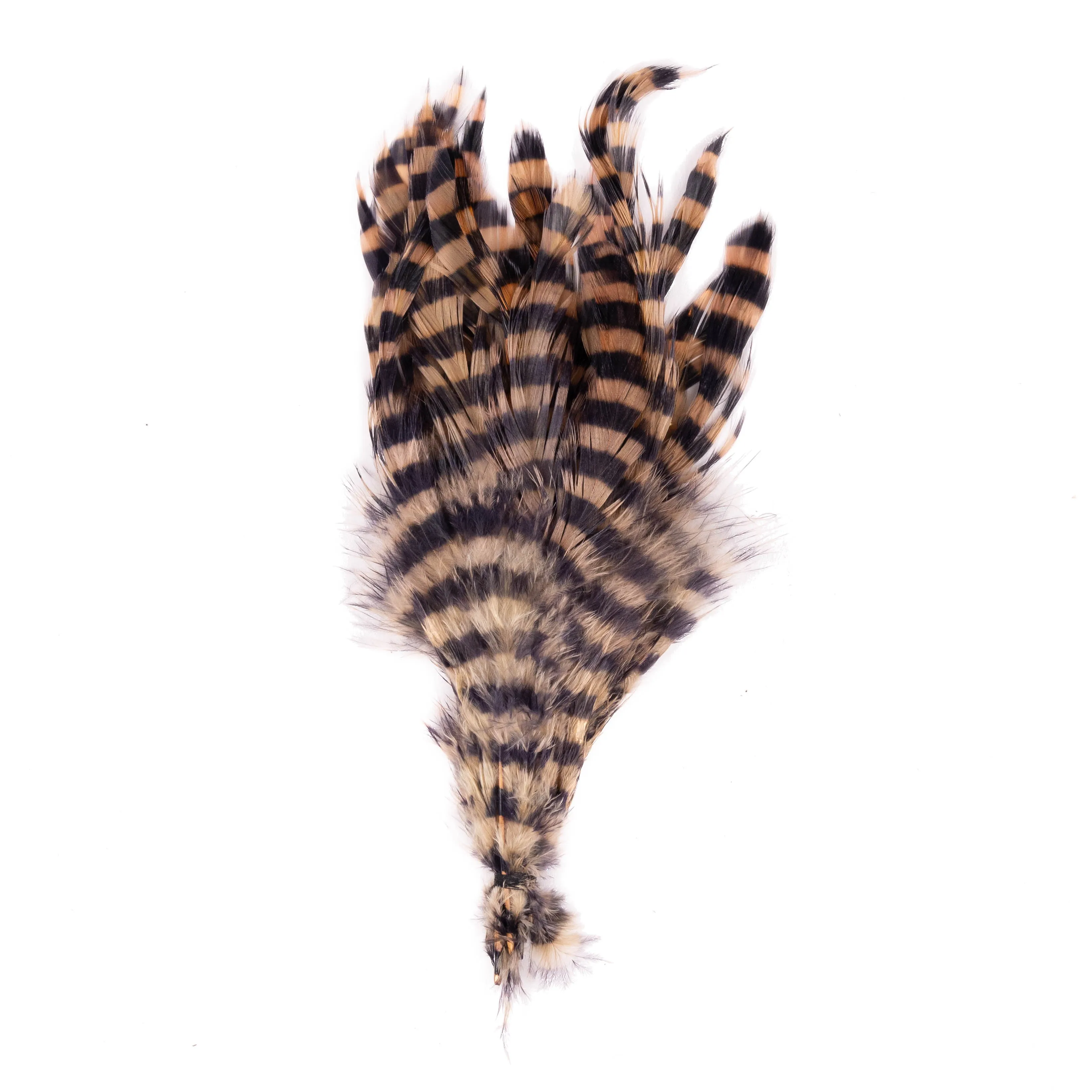 Barred Schlappen