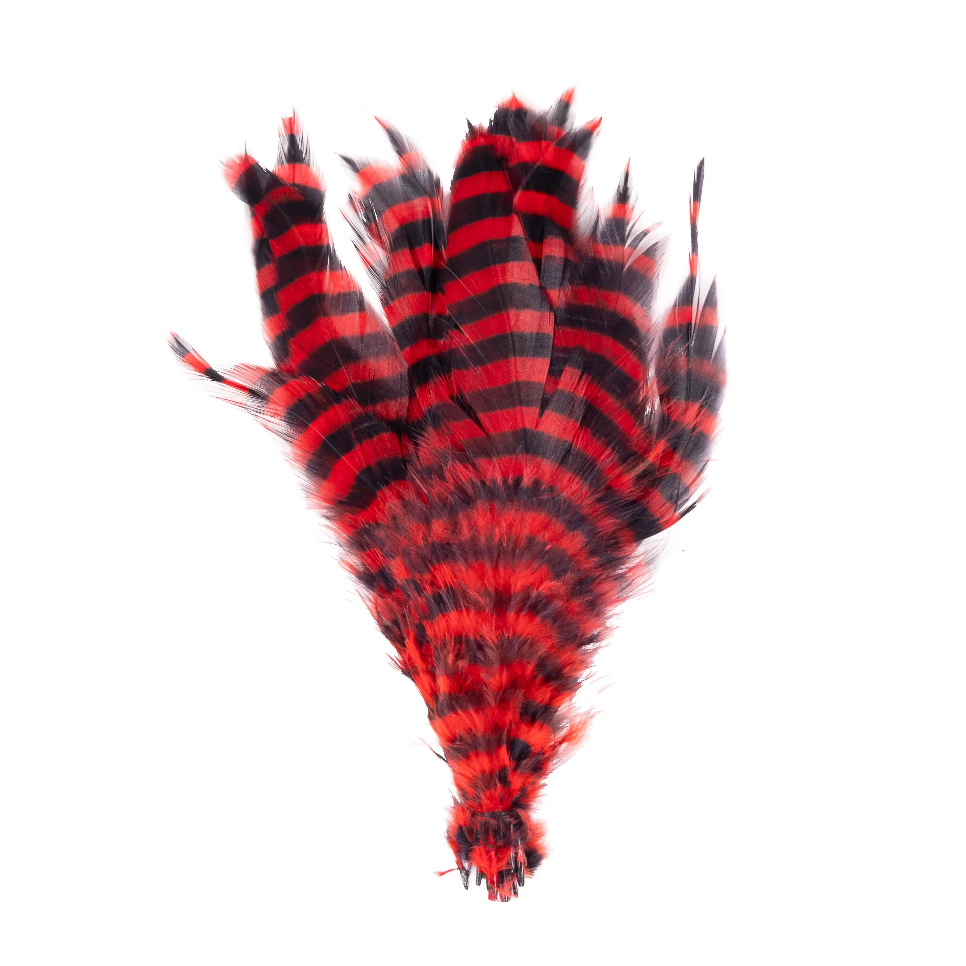 Barred Schlappen