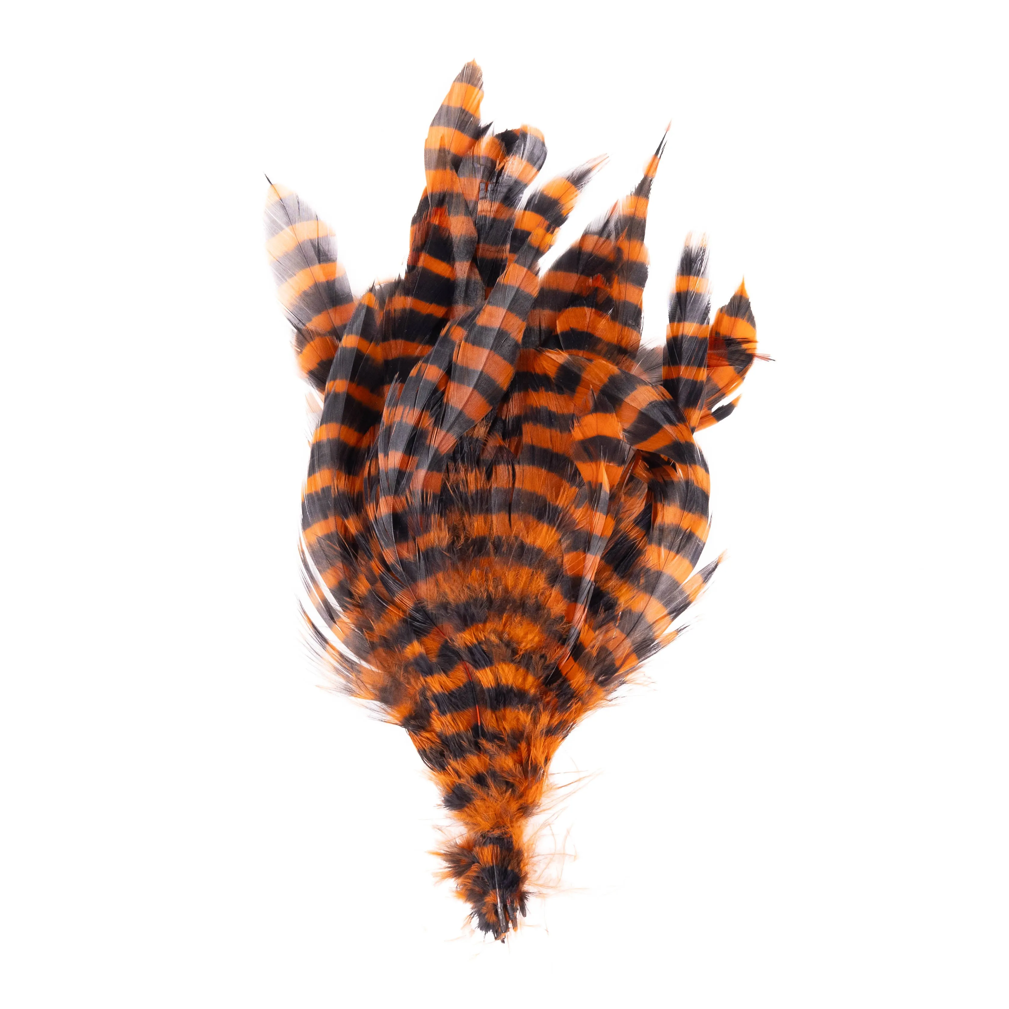 Barred Schlappen