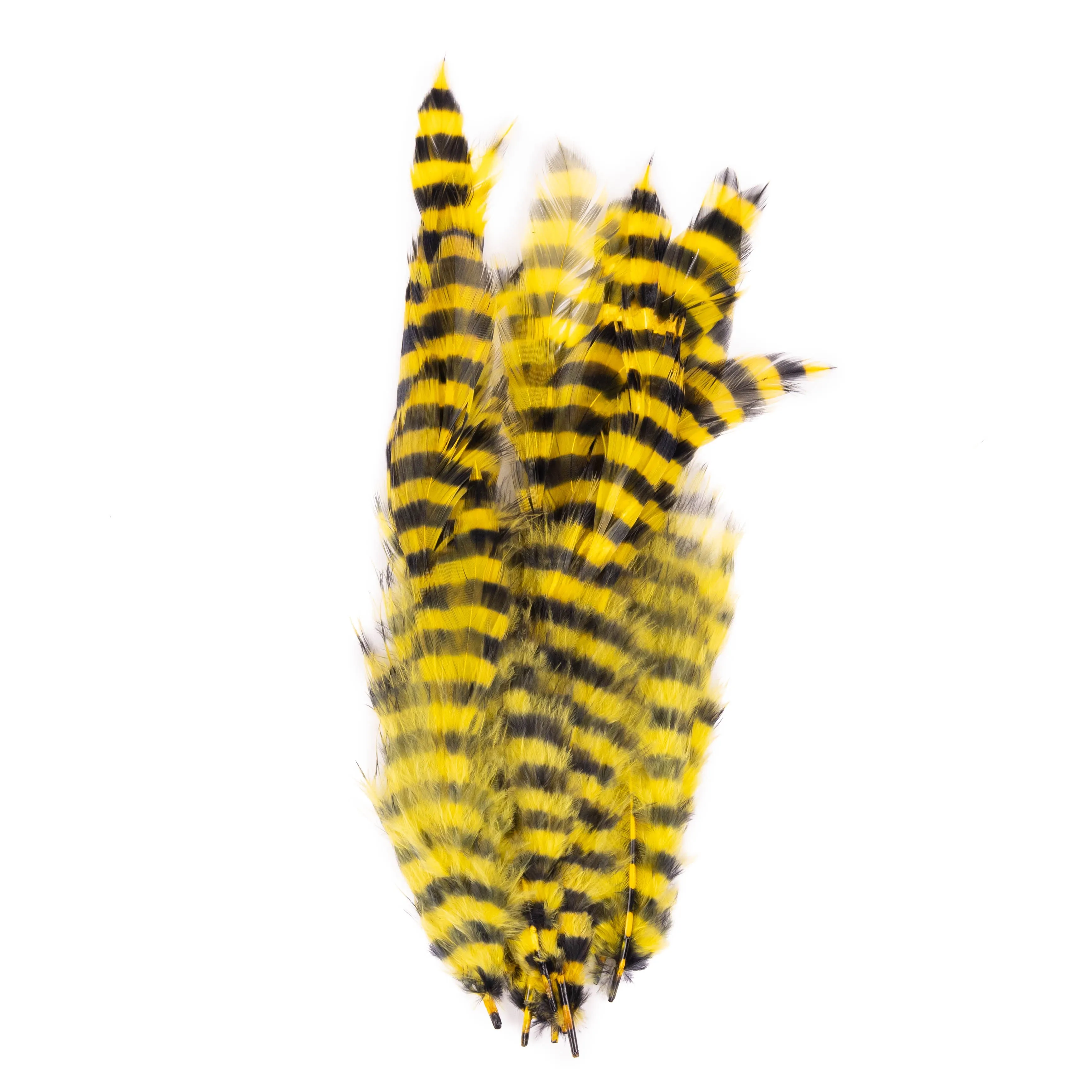 Barred Schlappen