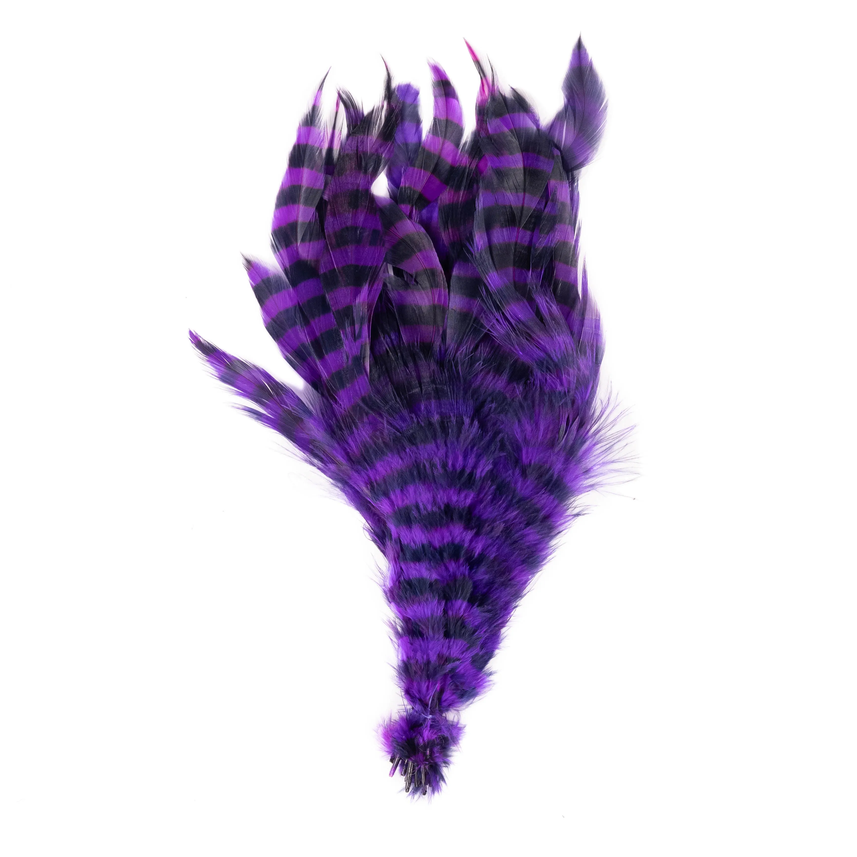 Barred Schlappen
