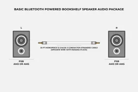 Basic Bluetooth Powered Bookshelf Speaker Audio Package