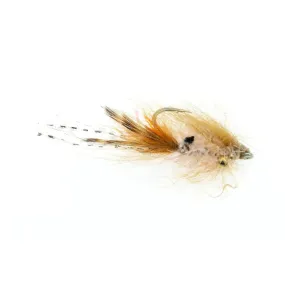 Chewy's Island Time - Tan/Orange - Size 1