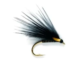 Cormorant Quill Flashback
