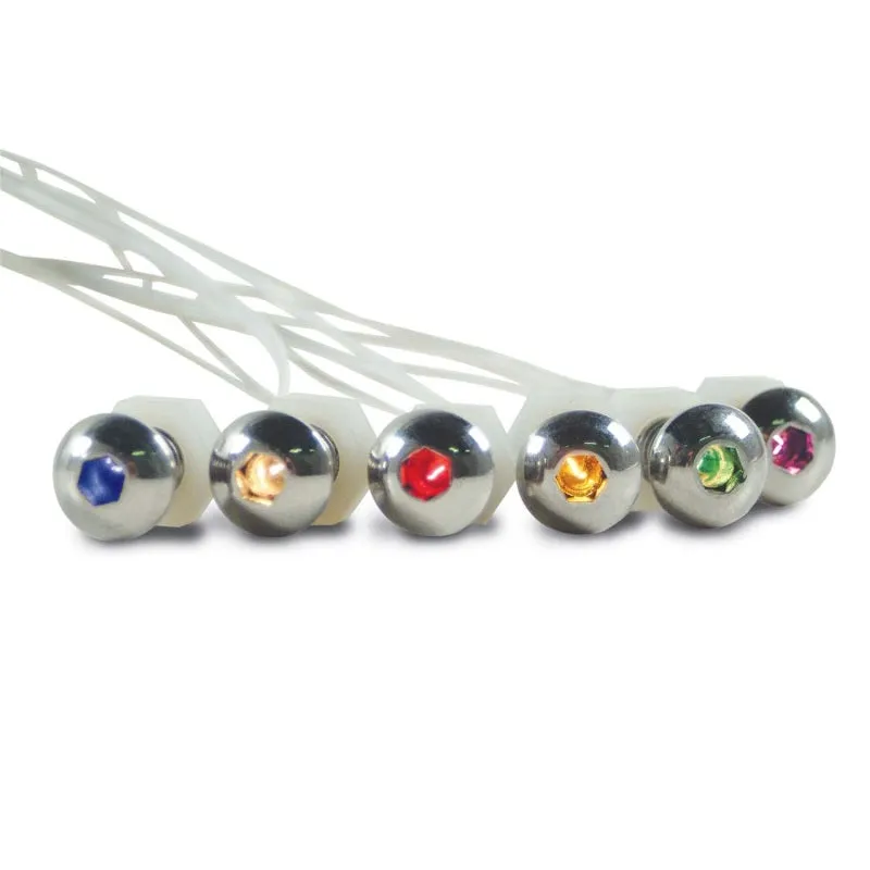 DEI Lite'N Boltz - 5/16-18" Thread - 3/4" Long - Blue LED Lighted - Stainless - Polished (Pair)