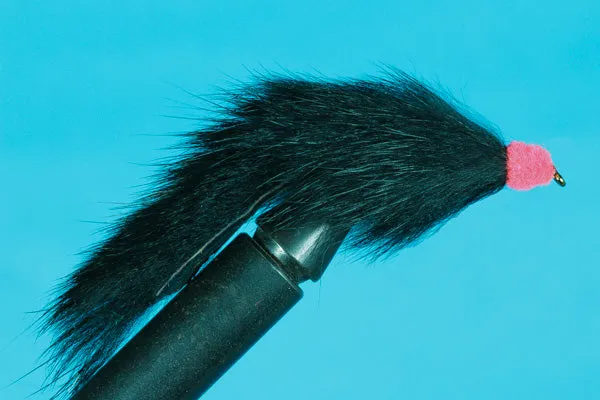 Egg-Sucking Bunny Leech