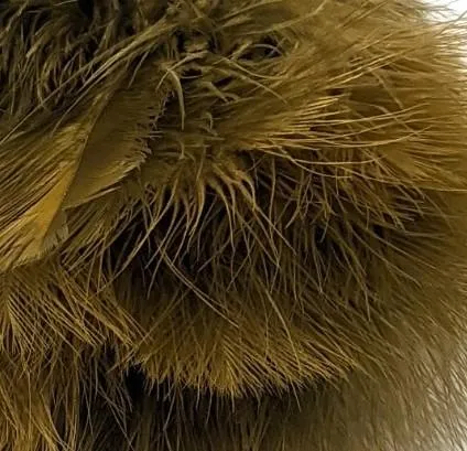 Fish Hunter Spey Blood Quill Marabou