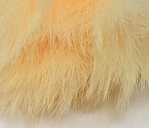 Fish Hunter Spey Blood Quill Marabou