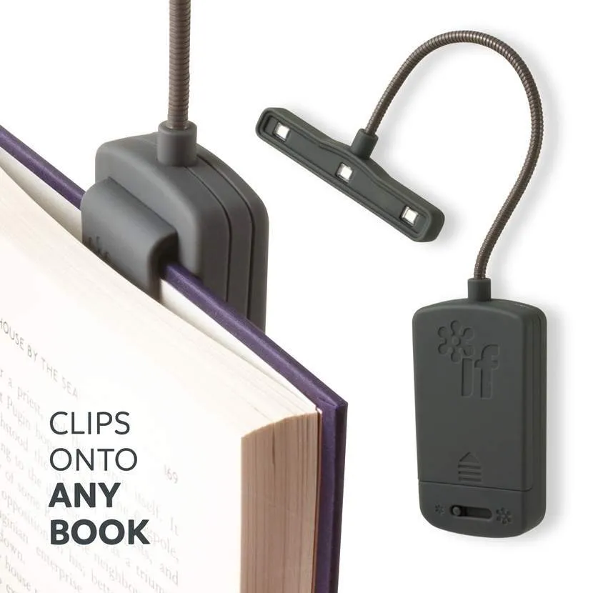 If The Really Bright Book Light Gray