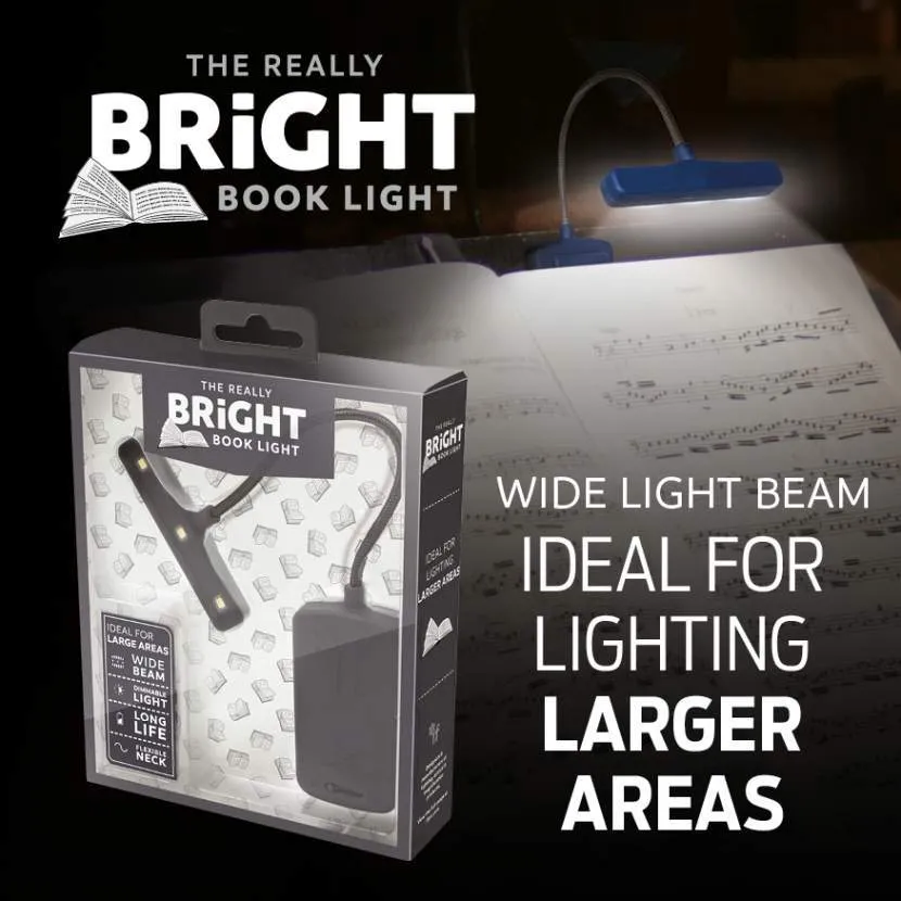 If The Really Bright Book Light Gray