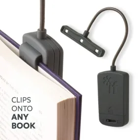 If The Really Bright Book Light Gray