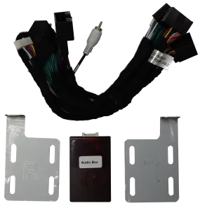 Linkswell Bang & Olufsen Audio Interface for Ford F-Series - FDPUBOADPT