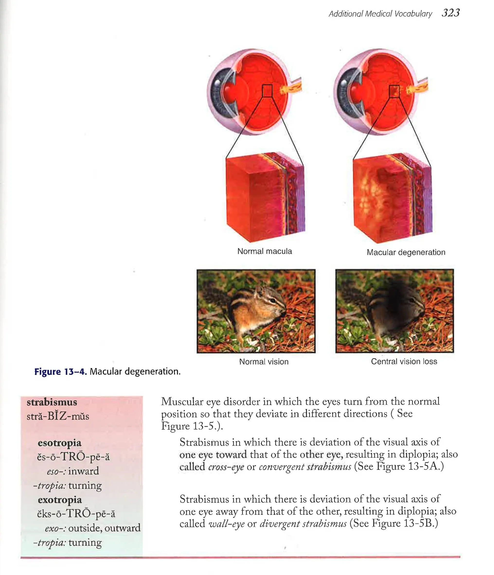 Medical Terminology Express