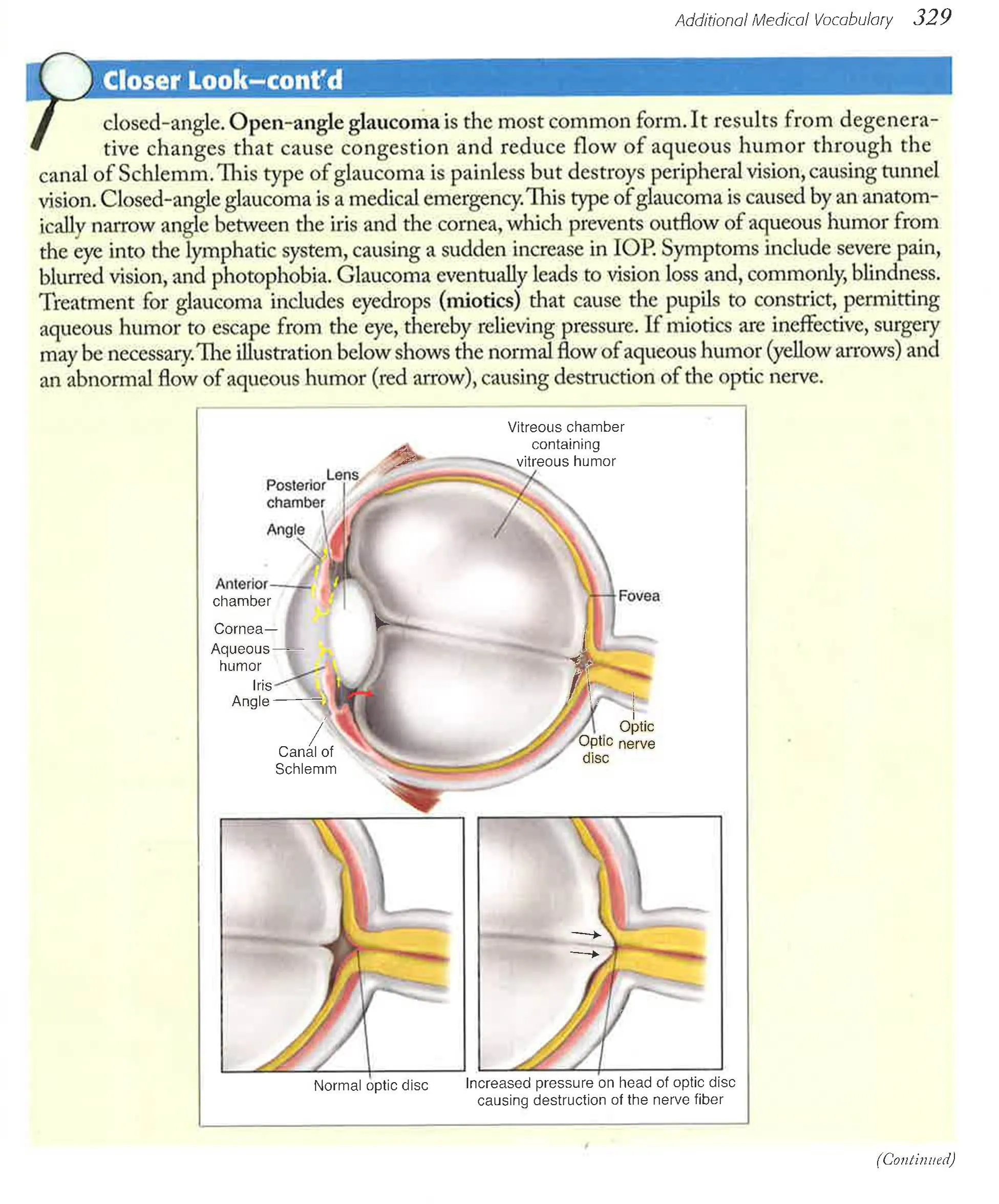 Medical Terminology Express