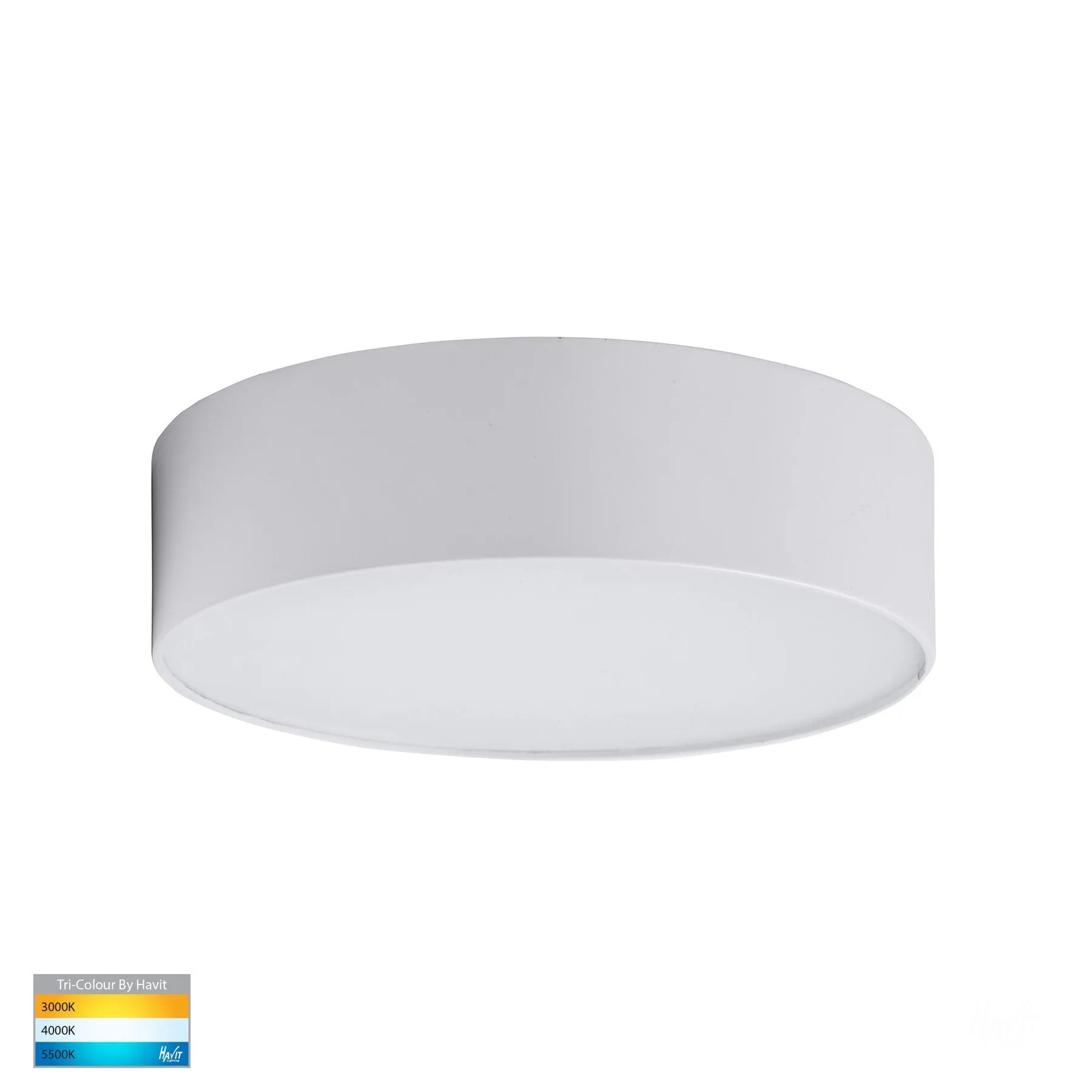 Nella LED Oyster Light Small or Large in White/Black Havit Lighting - HV5892T, HV5893T
