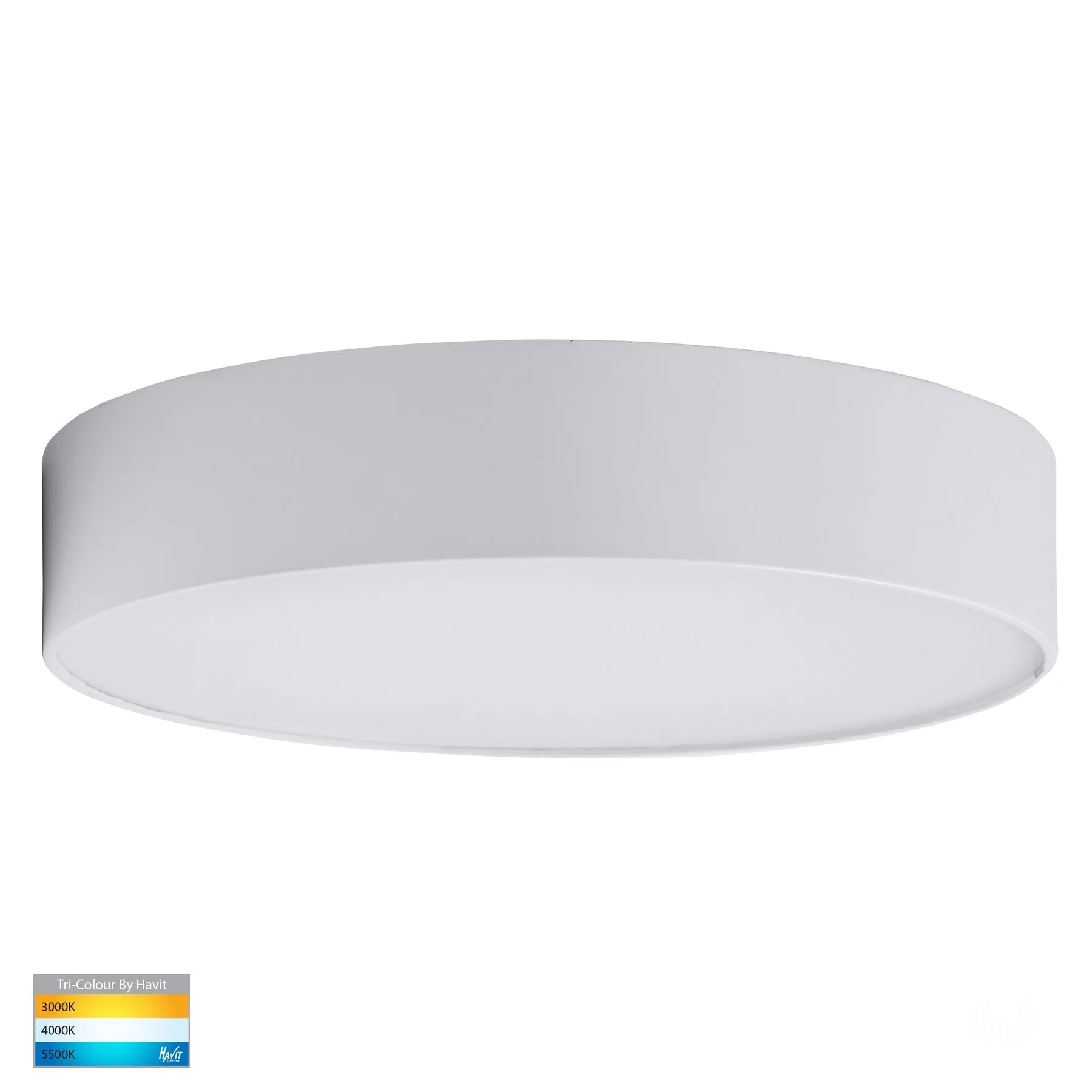 Nella LED Oyster Light Small or Large in White/Black Havit Lighting - HV5892T, HV5893T