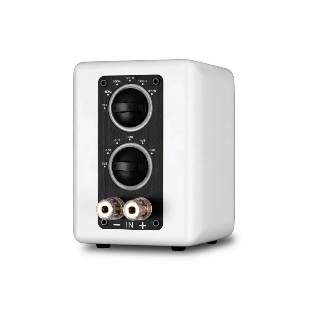 PST Planar-Magnetic Ribbon Super Tweeter Speaker Pair