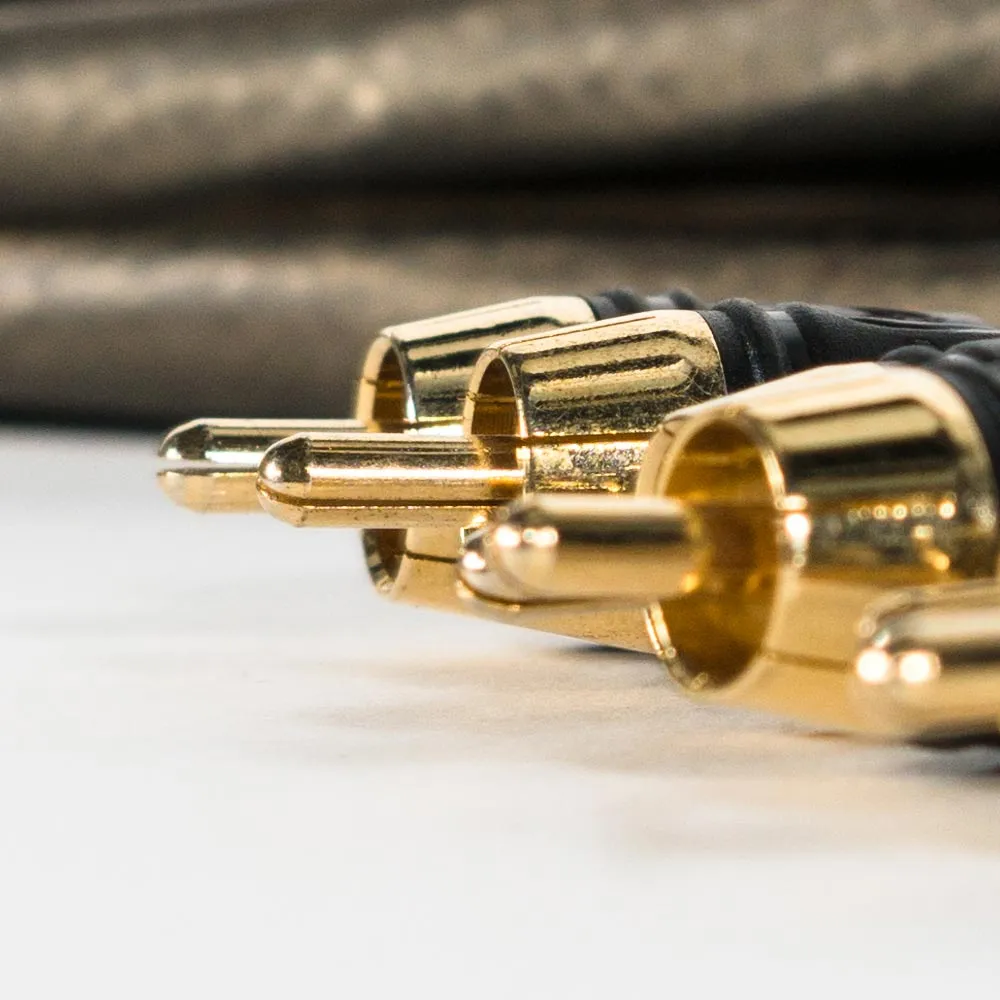 Roswell 5M 6-Channel RCA Cable | 2022 | Pre-Order