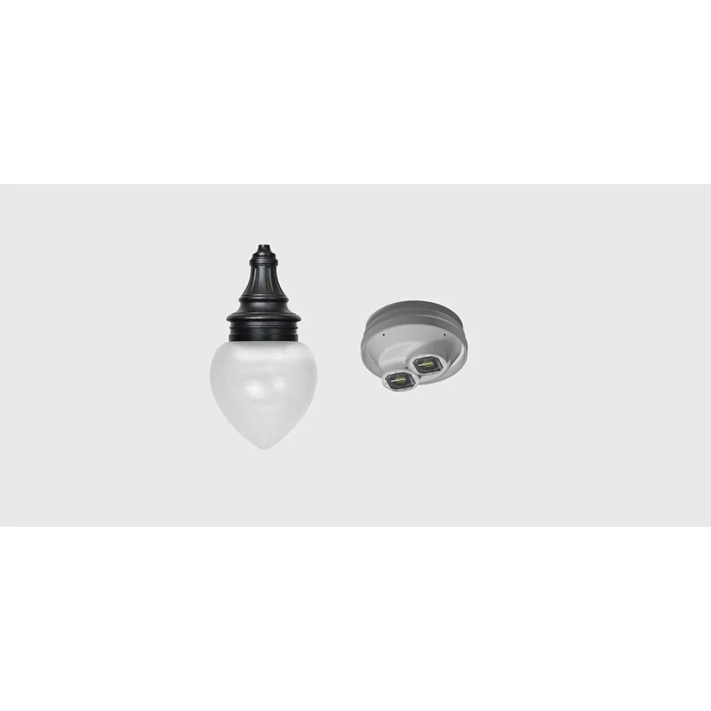 Sternberg Lighting LED-1930 Acorn