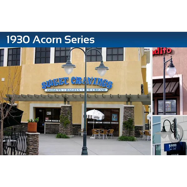 Sternberg Lighting LED-1930 Acorn