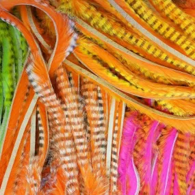 Tiger Barred  Magnum Rabbit Strips
