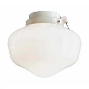 Universal 8 In. LED Ceiling Fan Light Kit, White Finish