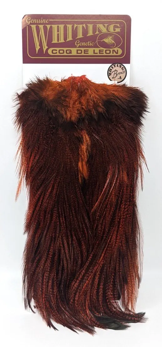 Whiting Coq de Leon Bronze Saddle