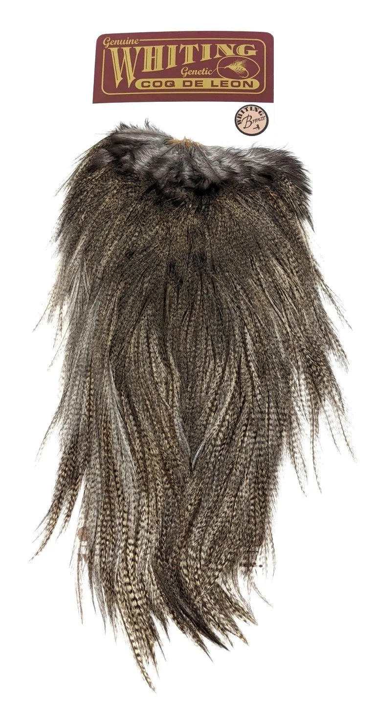 Whiting Coq de Leon Bronze Saddle